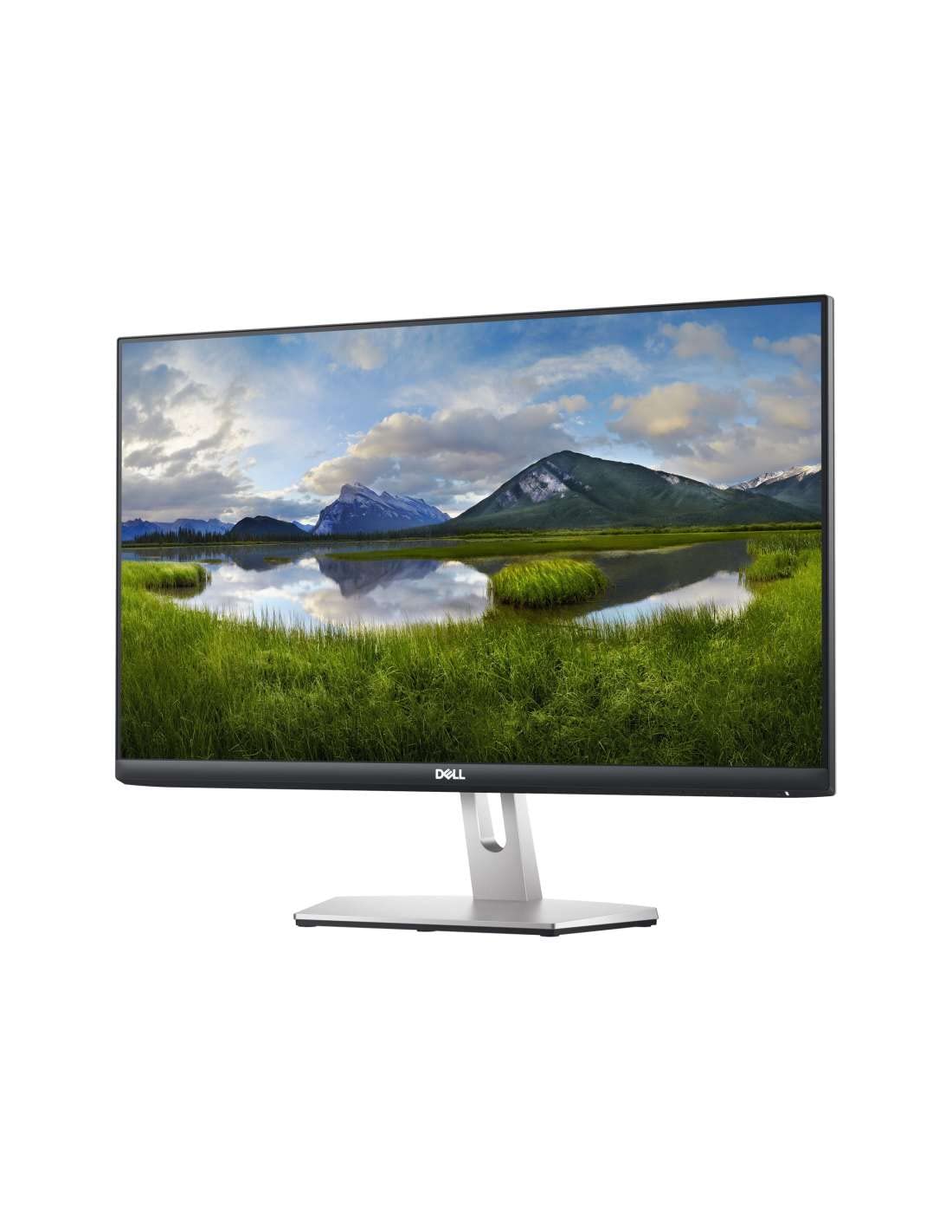 Dell S2421HN 24'' LED Monitor