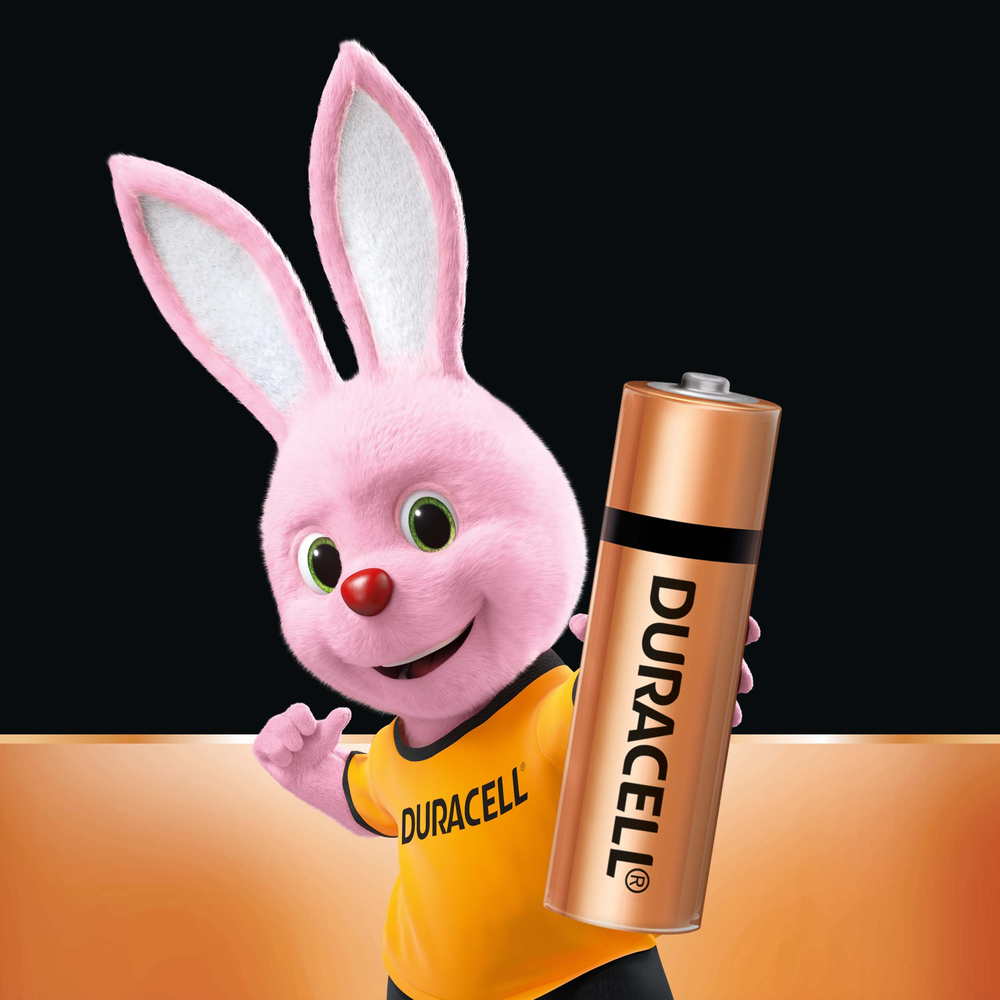 Duracell AA Alkaline Battery Duracell AA Alkaline Battery