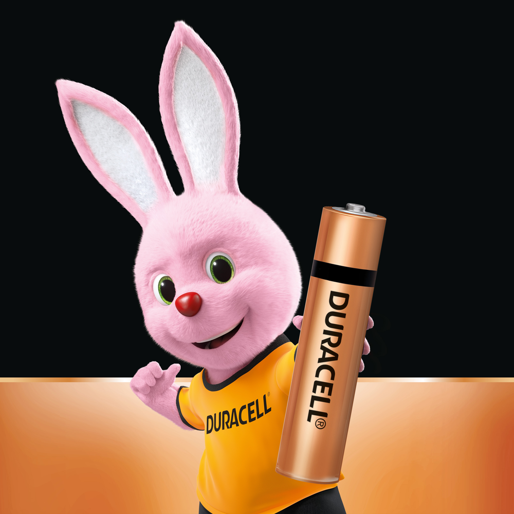 Duracell AAA Alkaline Battery Duracell AAA Alkaline Battery